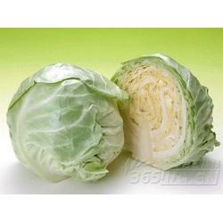 廣東糖類產(chǎn)品與蔬菜的批發(fā)、供應(yīng)及廠家資源整合